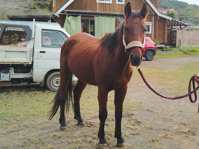 ミスター・ロン - October 18, 2025