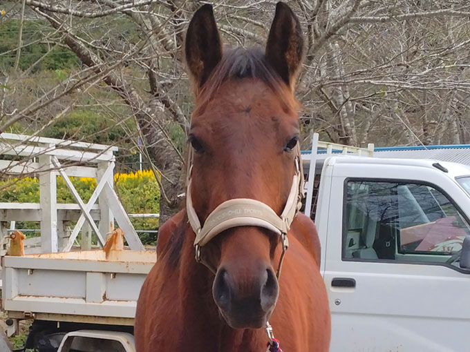 ミスター・ロン - October 18, 2025