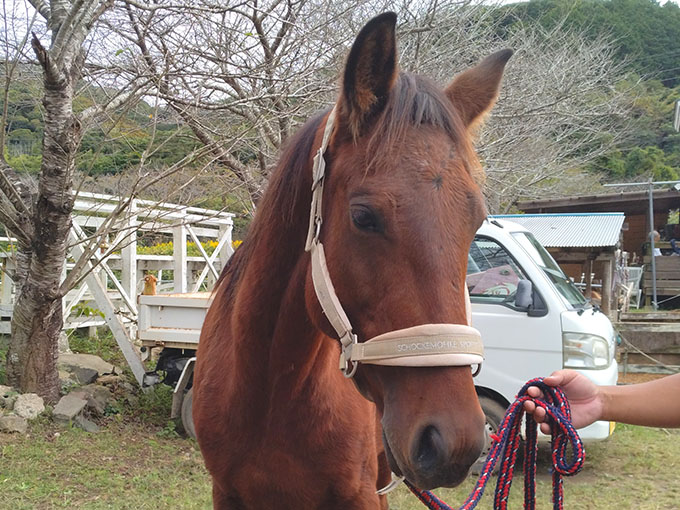 ミスター・ロン - October 18, 2025