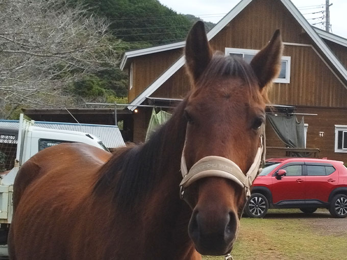 ミスター・ロン - October 18, 2025