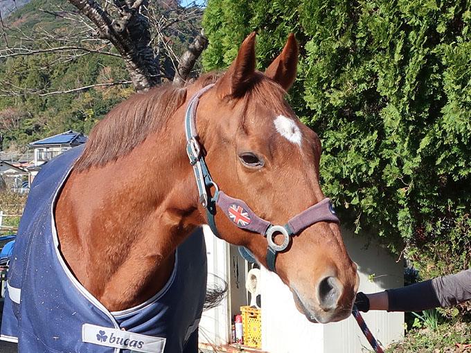 ナイスシャトル - November 30, 2025