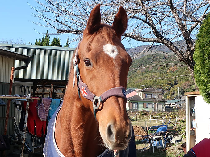 ナイスシャトル - November 30, 2025