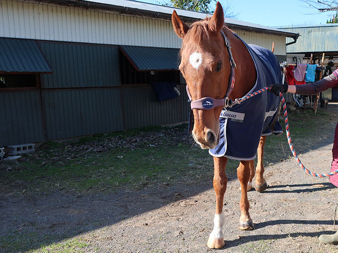 ナイスシャトル - November 30, 2025