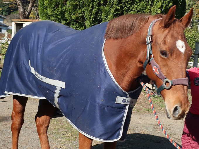 ナイスシャトル - November 30, 2025